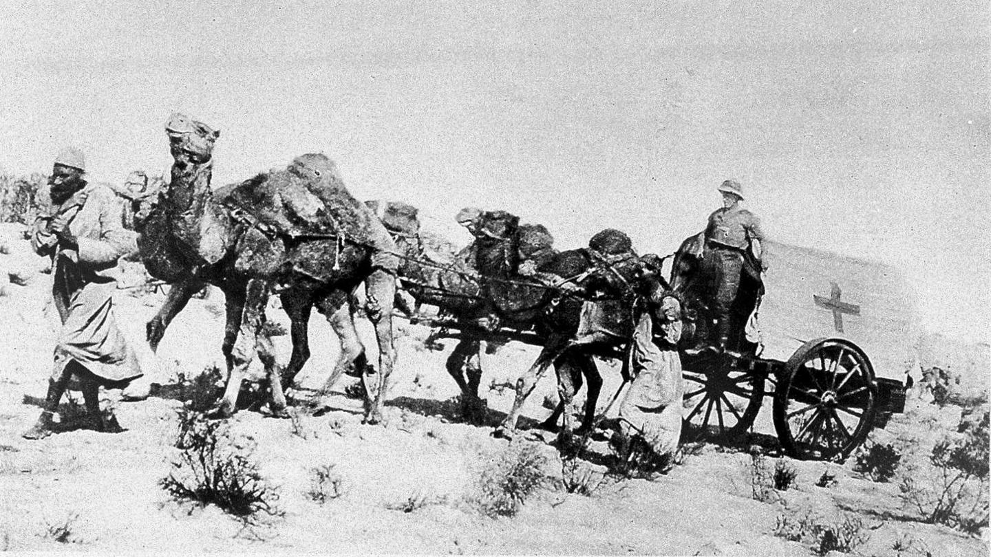 Ambiwlans yn cael ei dynnu gan gamelod