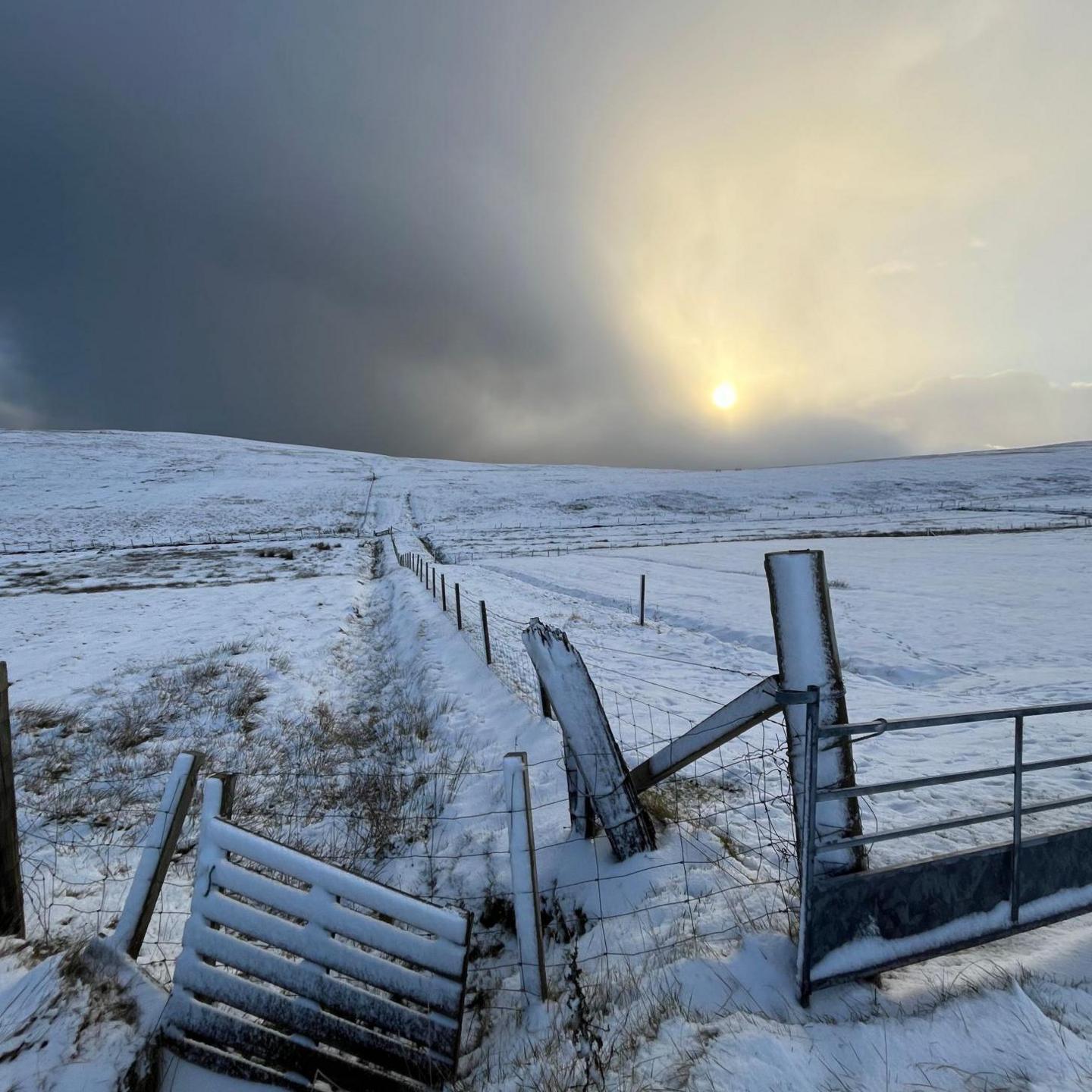 Snow covers farmland and a wooden pallet and fence posts. The sun shines behind stormy clouds.