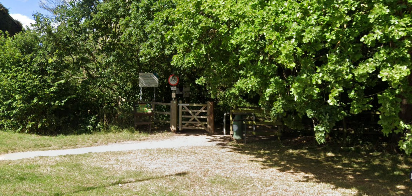 The entrance to a woodland