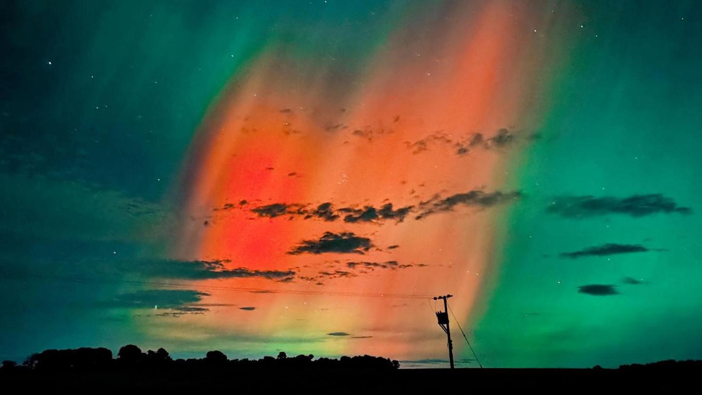 Red and green glow of the aurora behind trees and an electricity pole