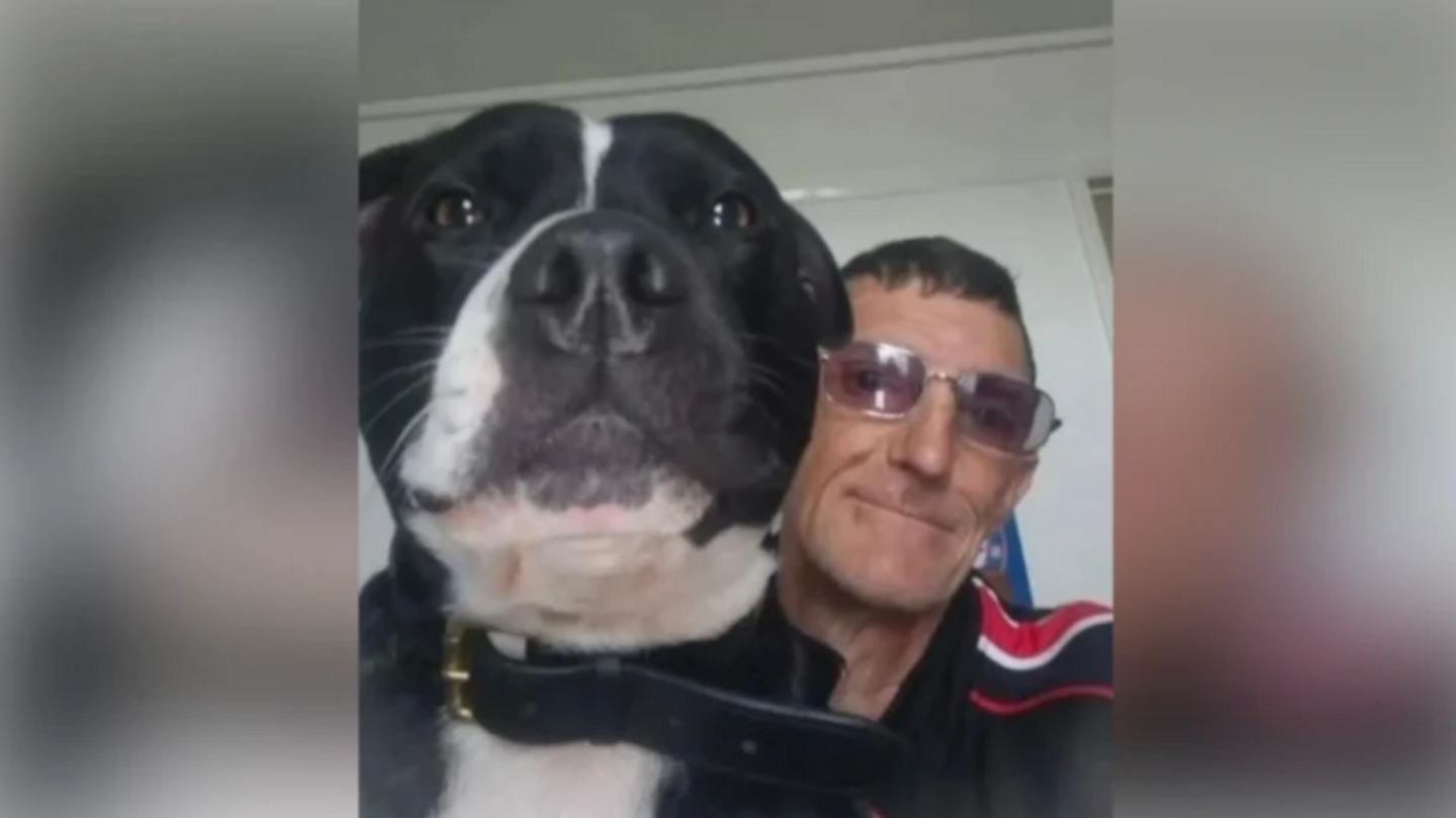 A close-up photo of a black and white dog's head. Next to it is a man wearing glasses. Both are looking into the camera.
