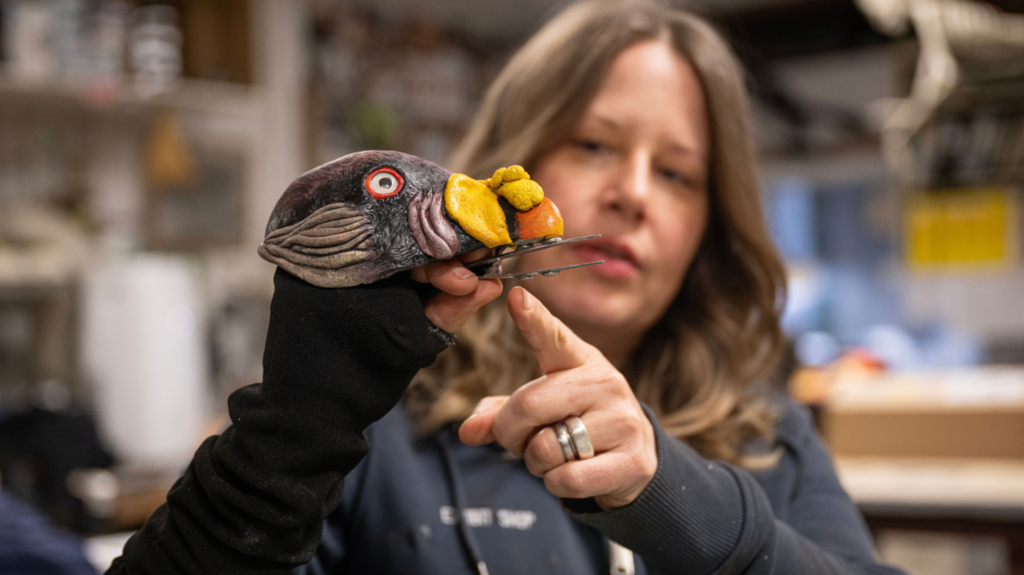 King Vulture Hand Puppet shown on the hand of a staff member
