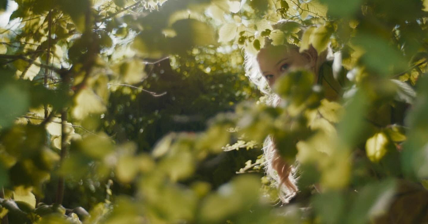 nicola coughlan stares through the leaves of trees