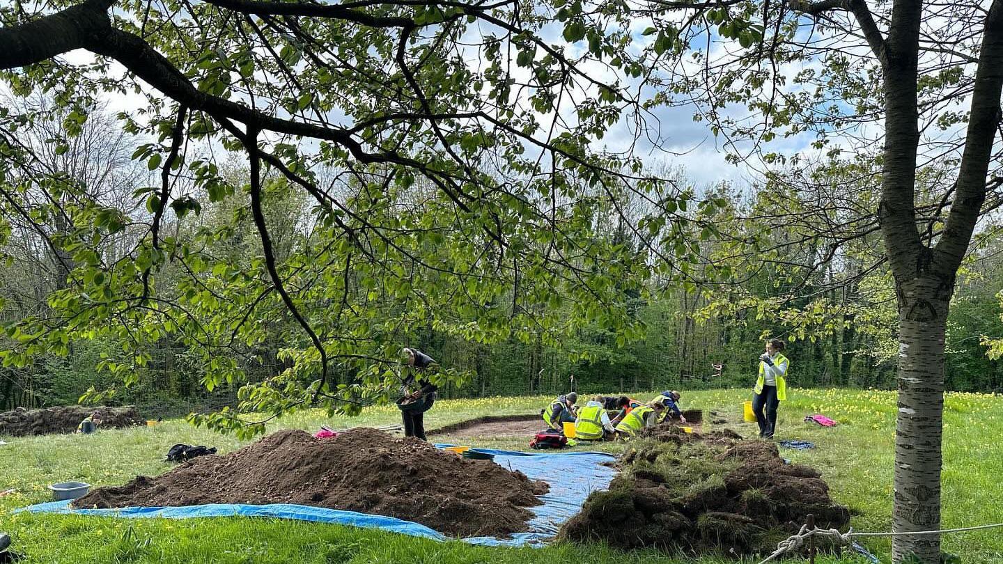 Digging at the park 