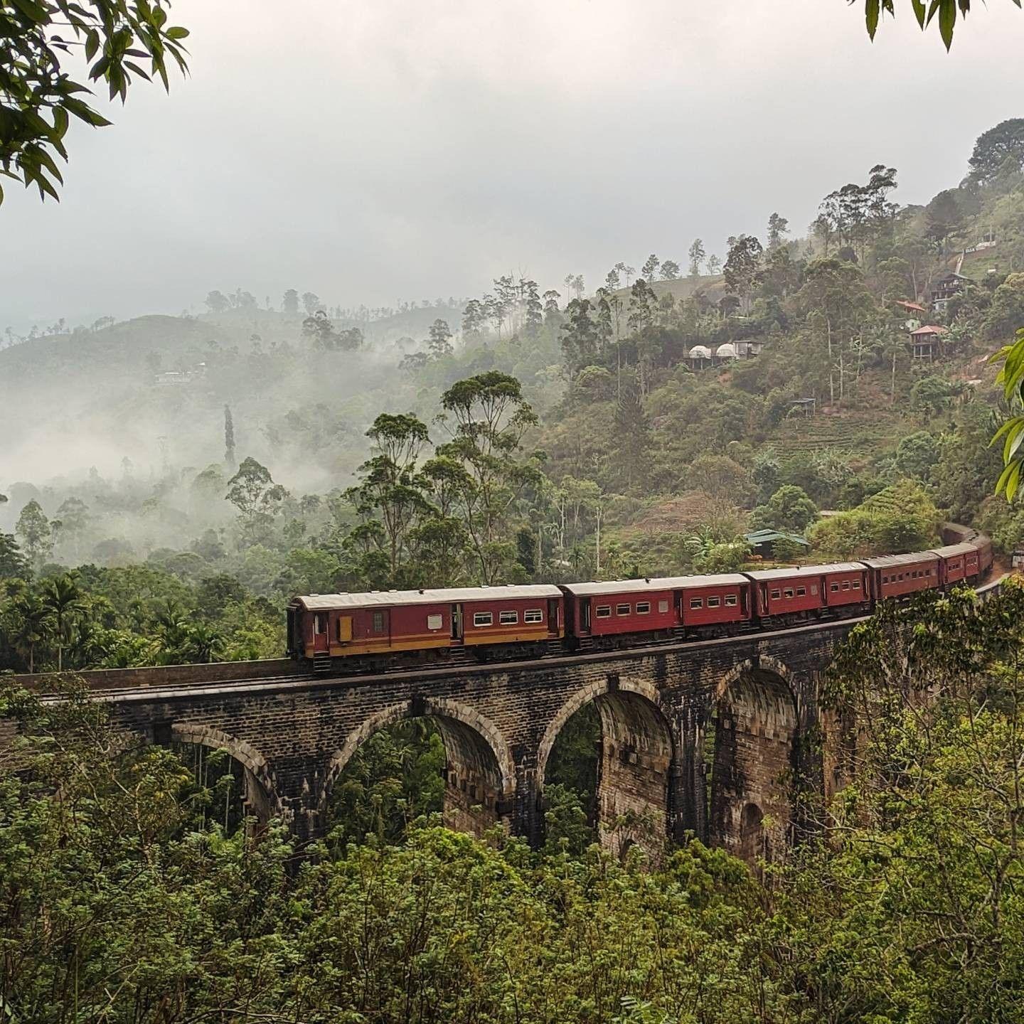 A train passes over a bridge surrounded by trees