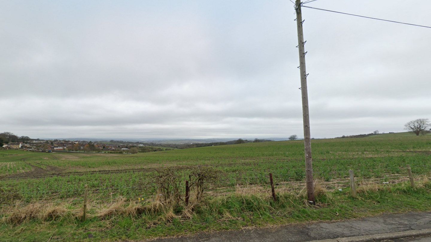 Green fields and cloudy sky. There is a telephone pole in the foreground of the photo.