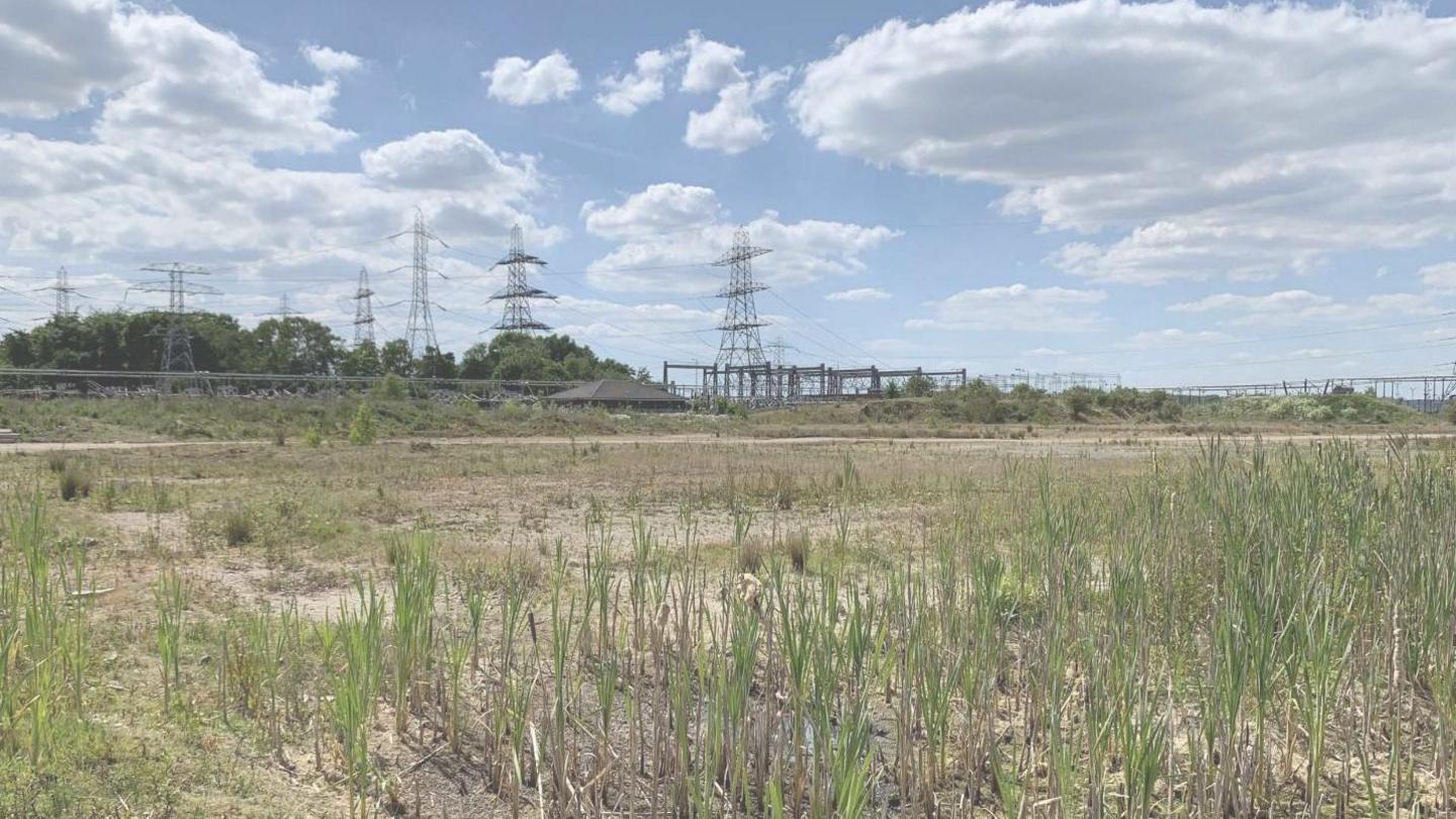 The former Drakelow Power Station site, a wide open space with long grass growing and pylons in the background.
