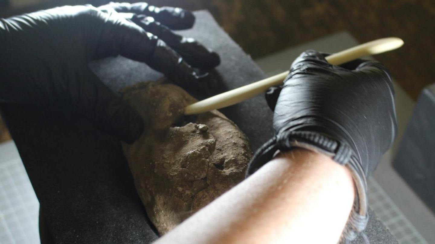 A person wearing black gloves works to remove dirt and pieces of earth that surrounds the bundle of coins. They use a cream coloured tool to unfurl the lead covering.