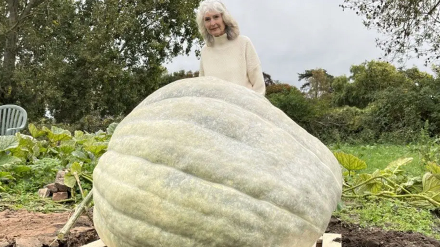 Frances Crickmore and her giant pumpkin