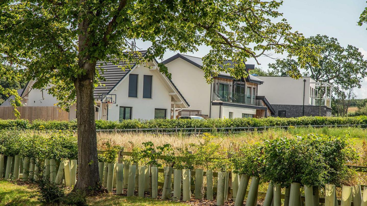 A row of self-build houses. They are large, but each differs in design. The first two have traditional roofs, the second has a large front  balcony. A third has a flat roof.  In the foreground is a tree and a row of newly planted greenery..