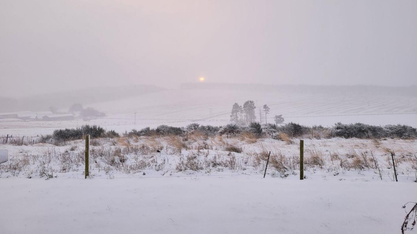 Snow covers farmland with fence posts, bushes and trees. In the distance is the glow of a low sun. 