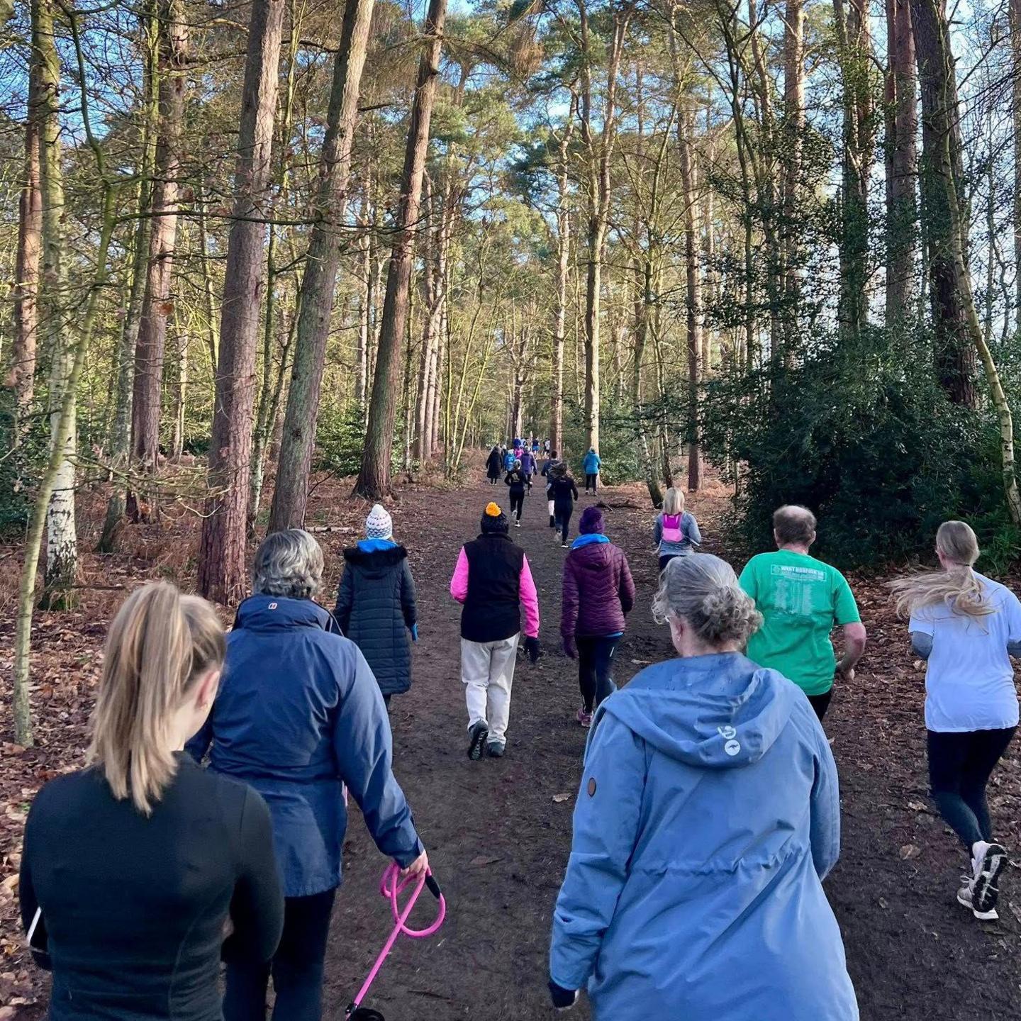 Një pamje nga mbrapa e rreth një duzine njerëzish që vrapojnë përgjatë një shtegu me baltë në një pyll pishash.