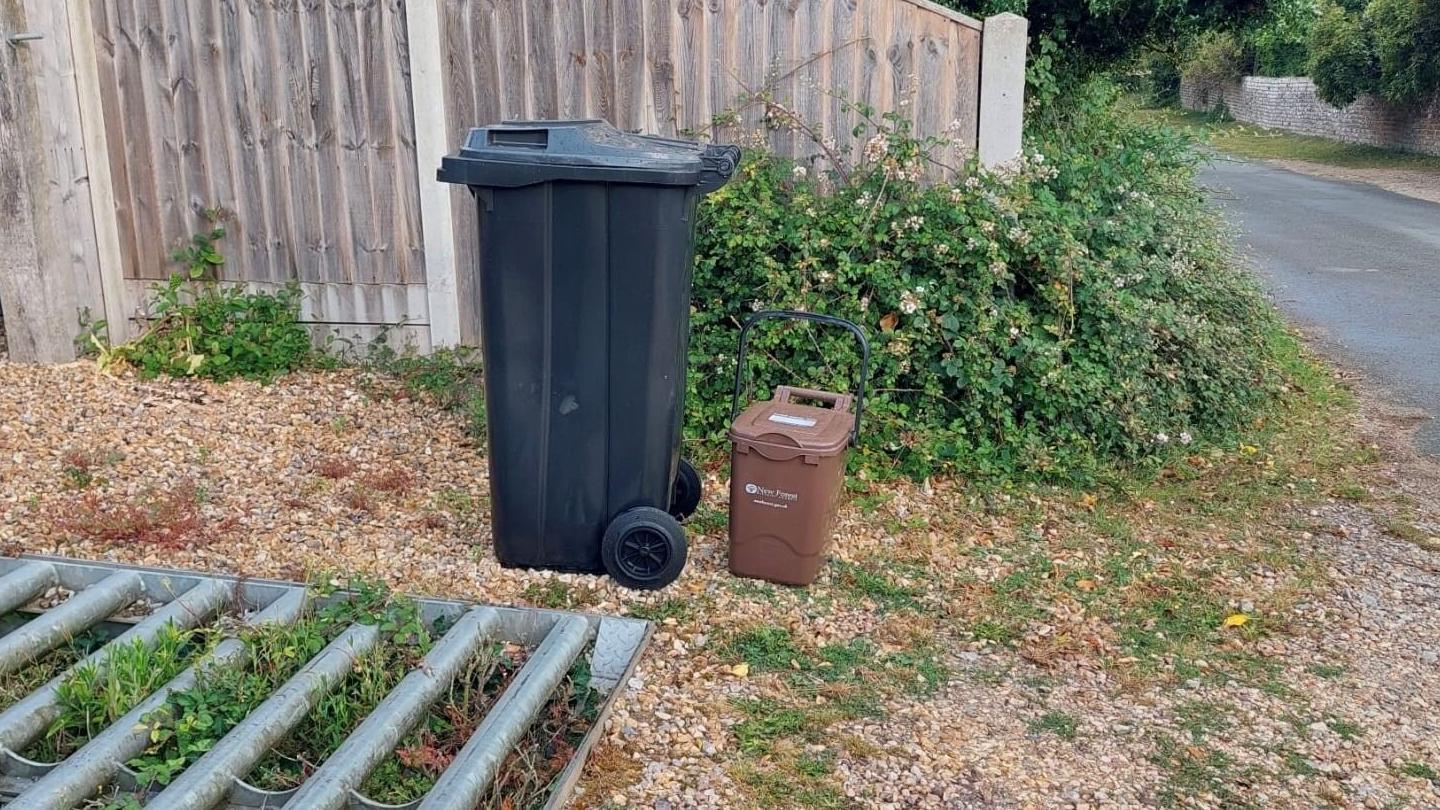 A black wheelie bin and small brown food caddie left by a road, alongside a cattle grid and fence