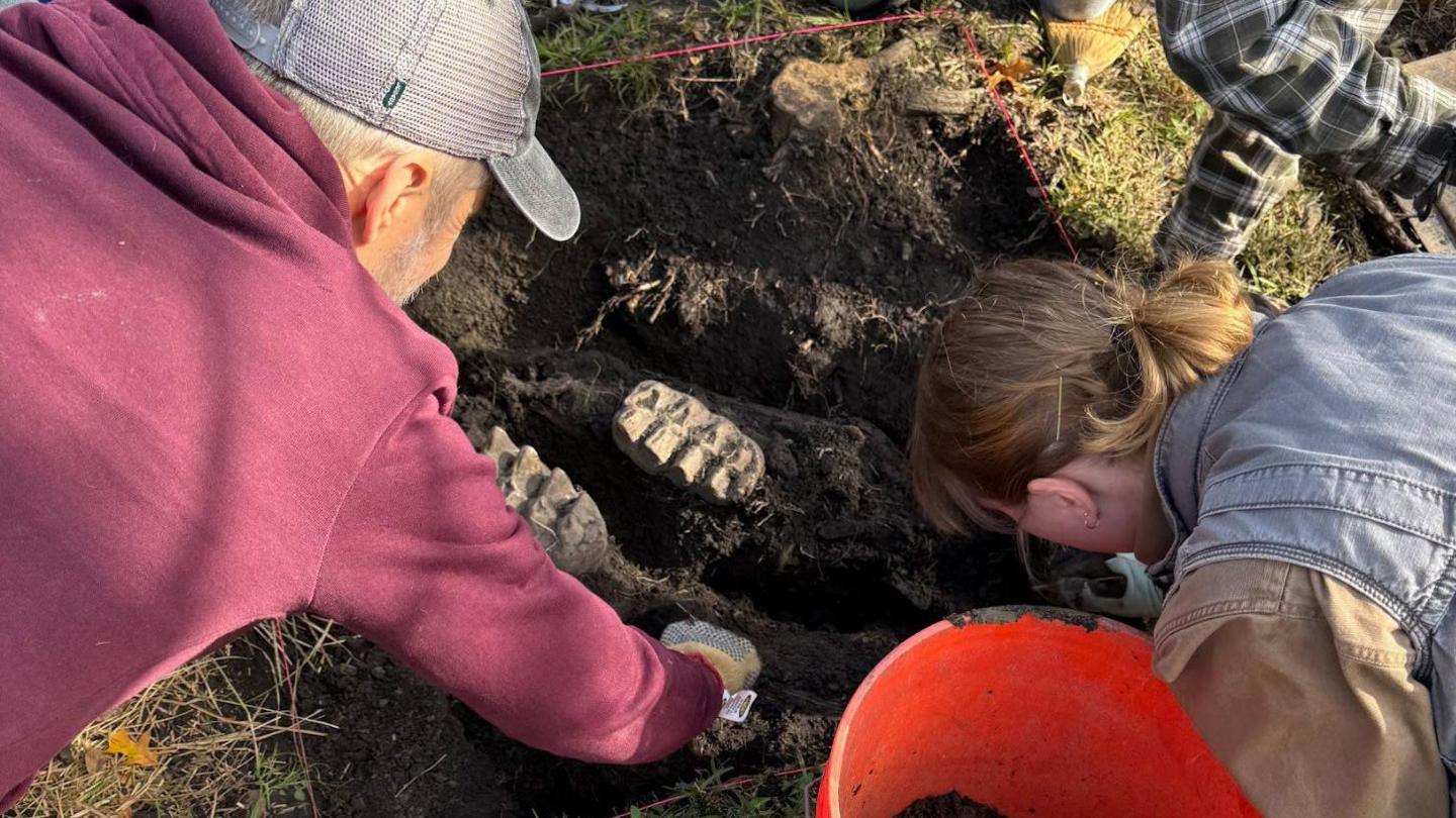 Researchers unearth a mastodon jaw 