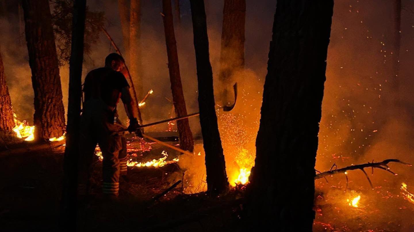 Firefighter standing among trees and ground on fire using a beater to put the fire out. It is night.