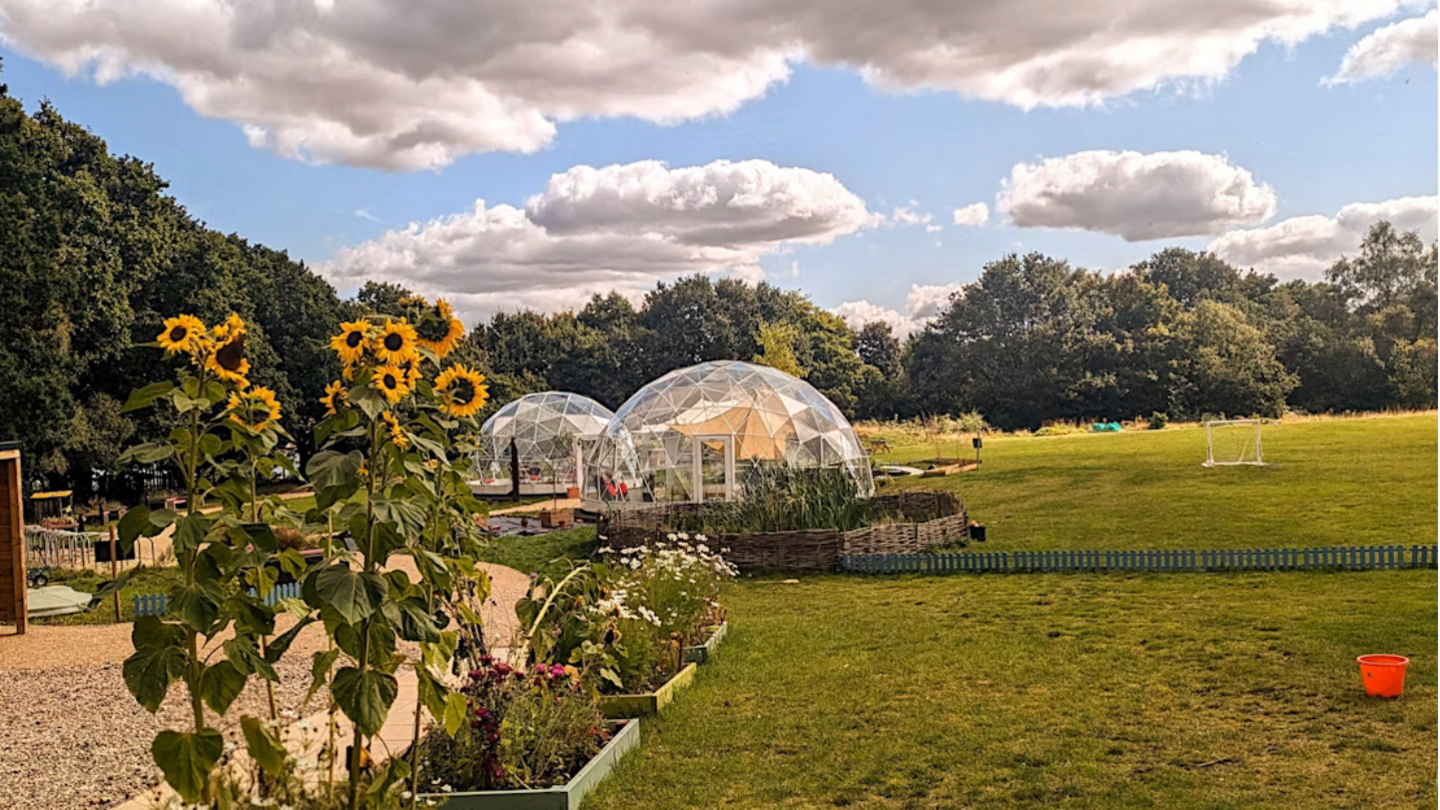 A large green space area with trees in the background. in the foreground there are sunflower plants. In the middle of the field there are glass domes.