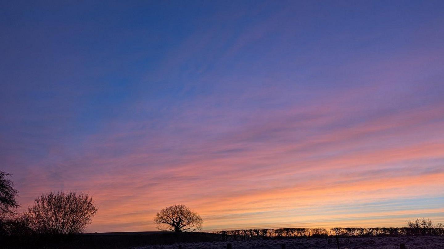 A wide shot of the sky with a dark blue patch followed by stripes of lighter blue and yellow and orange. Several trees are silhouetted against the colours.