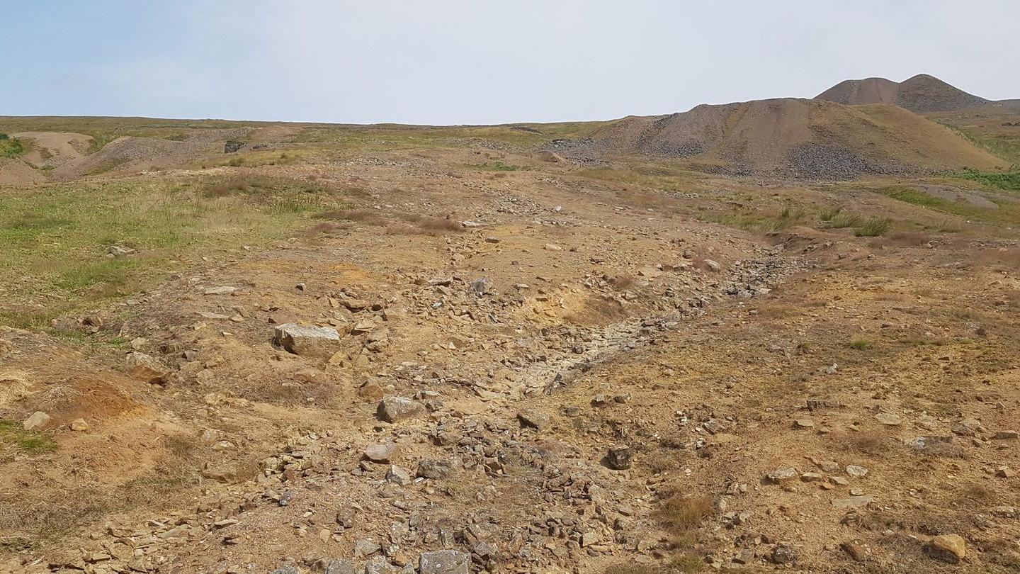 Ground covered in soil and rocks, partially covered by grass. Hills can be seen in the background.