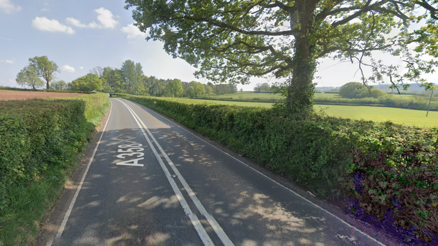 A road is going through two fields. There is a tree on the right side and hedges on either side of the road.