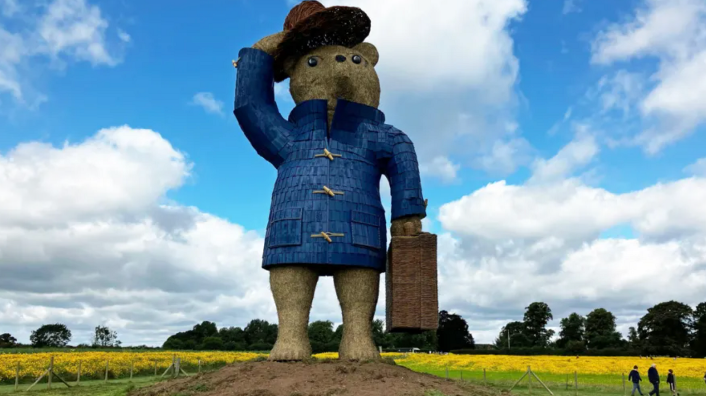 Giant Paddington Bear in Nantwich field, Cheshire