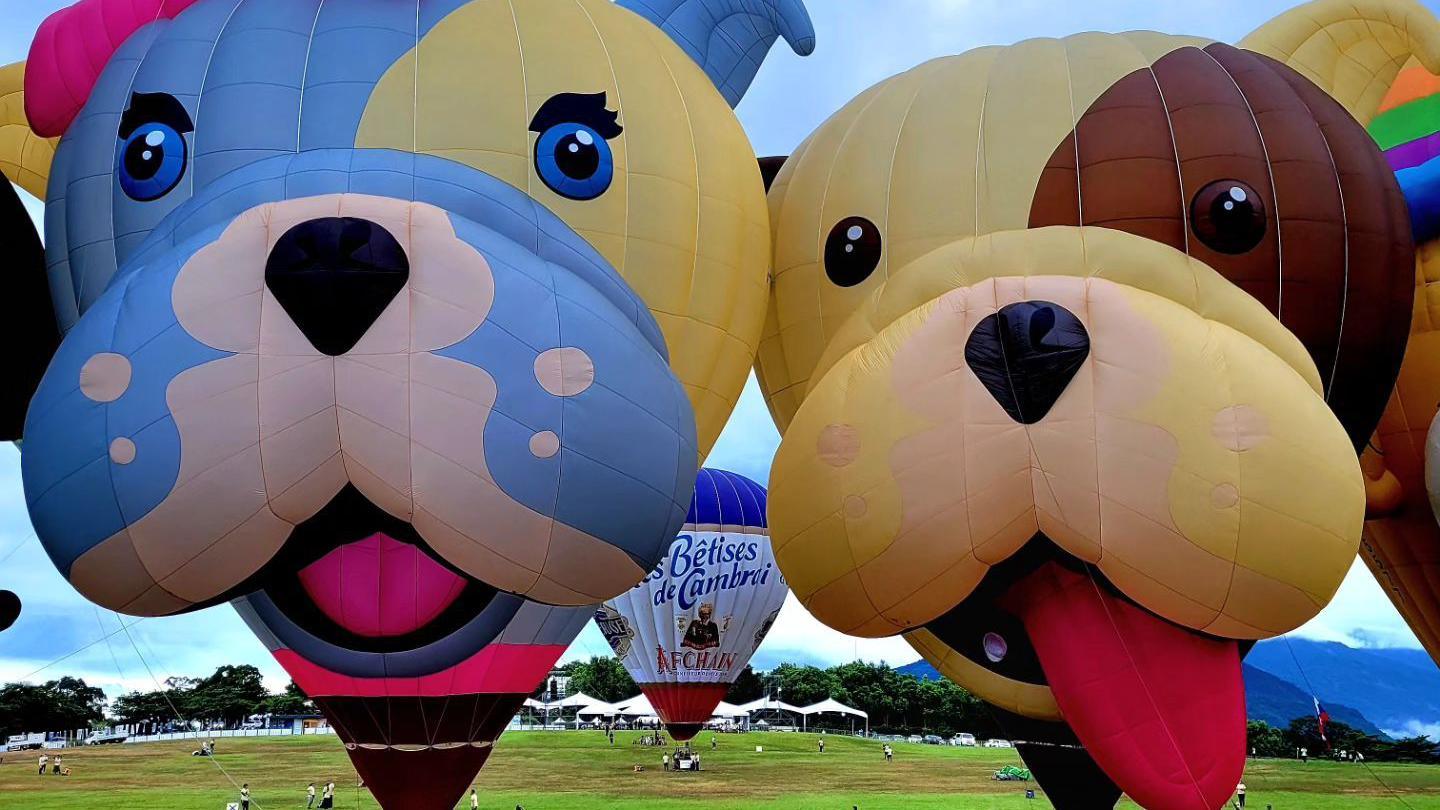 Buster and Bella hot air balloons at the fiesta