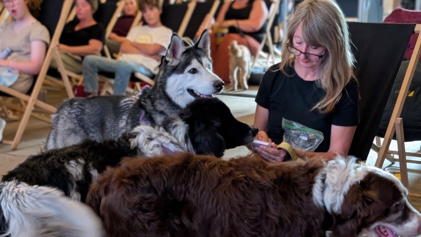 Three dogs near a woman who is sitting on a deckchair in an old grain barn which was transformed into a city for one night.