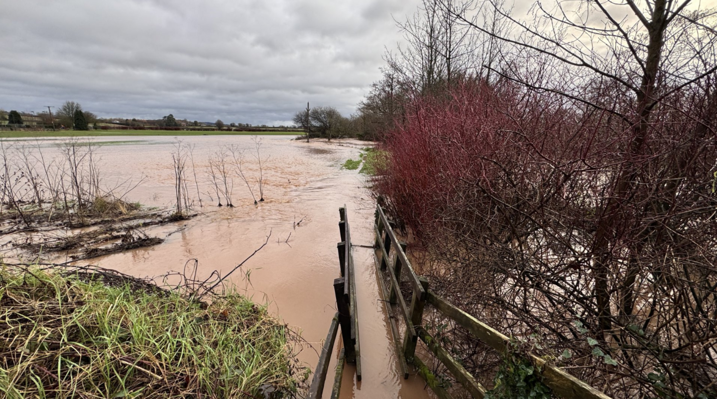 A flooded field and footbridge after the River Creedy broke its banks due to heavy rain. There is grass on the left and red leaves on trees to the right. In the distance is drier fields and the cloudy grey sky. The water is brown.