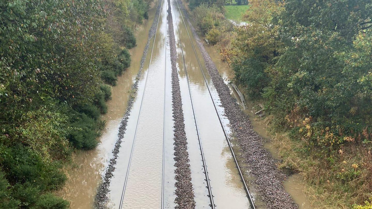 Train tracks are visible poking out of pools of water. Trees line each side