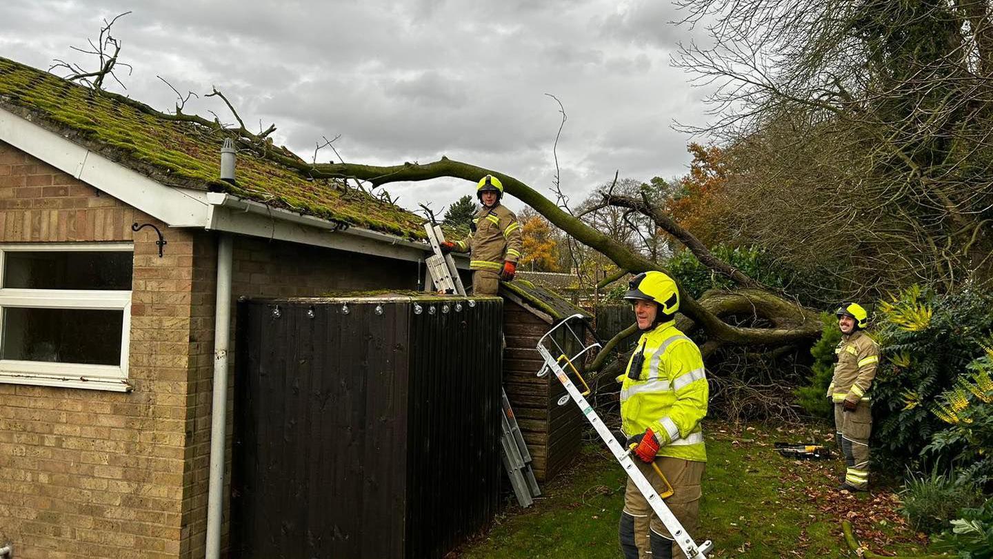 Three firefighters removing the tree from the bungalow's roof. They are wearing green hi-vis jackets and helmets. One firefighter is standing on a ladder leading to the roof while the two others are on the ground