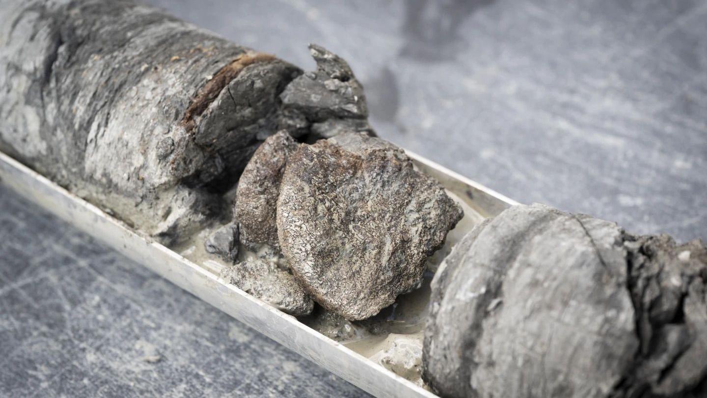 Fossil found underneath car park