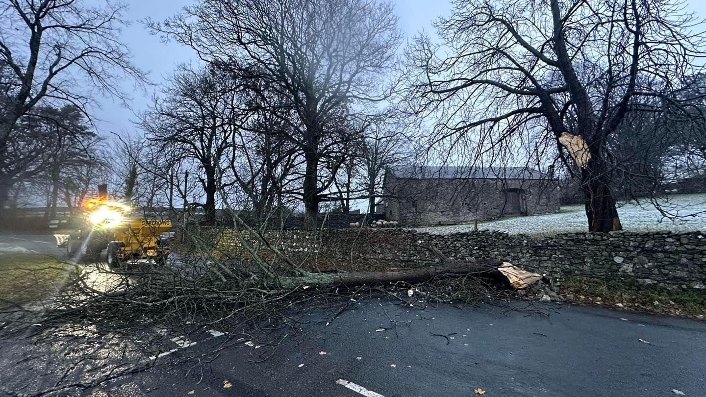 A fallen tree lies prone across a road. What appears to be a gritter is sat behind it, with its lights on. Other leafless trees line the road.