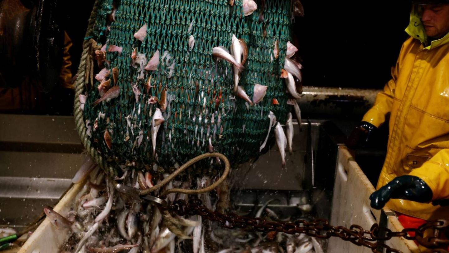 On board a French fishing trawler