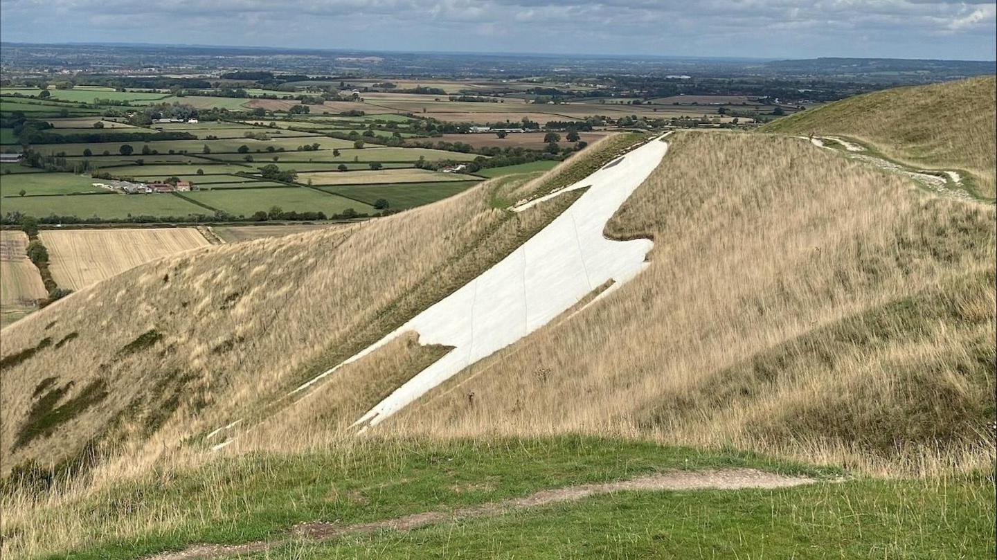 A large white horse carved into the side of a hill. In the distance there are lots of square fields separated with hedges. 