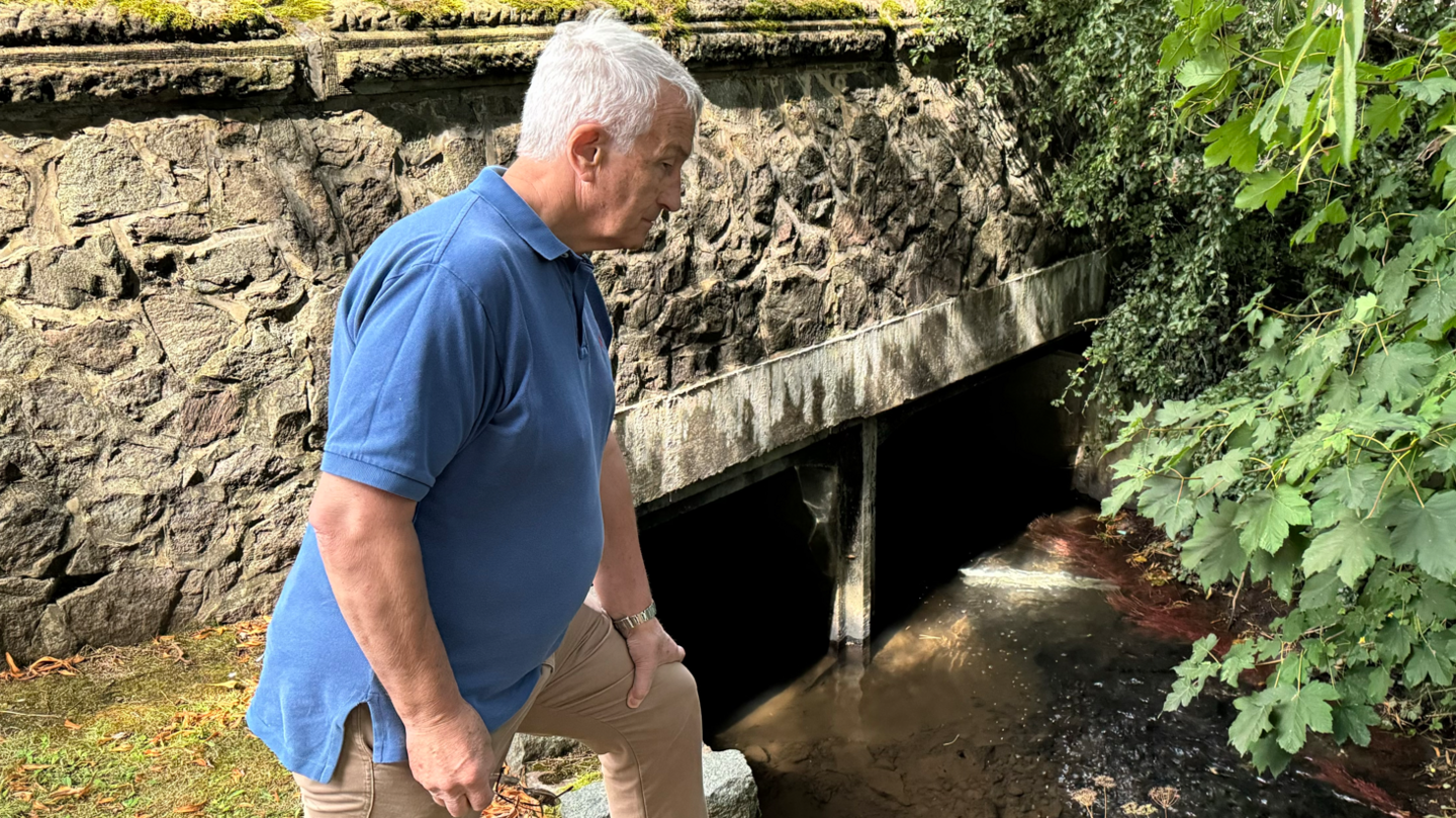 Steve Palmer looks at the River Sence