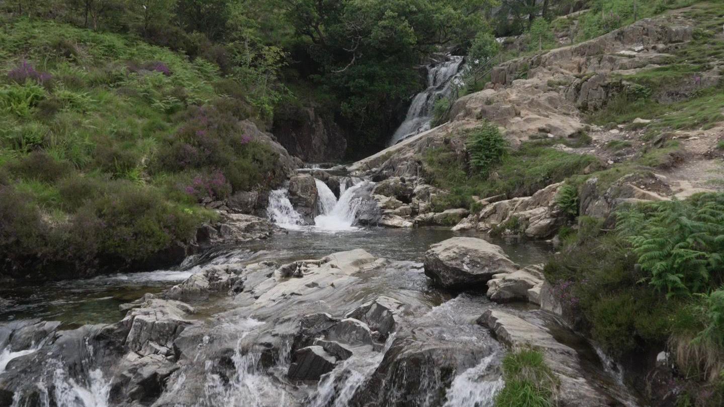 Pyllau Llwybr Watkin