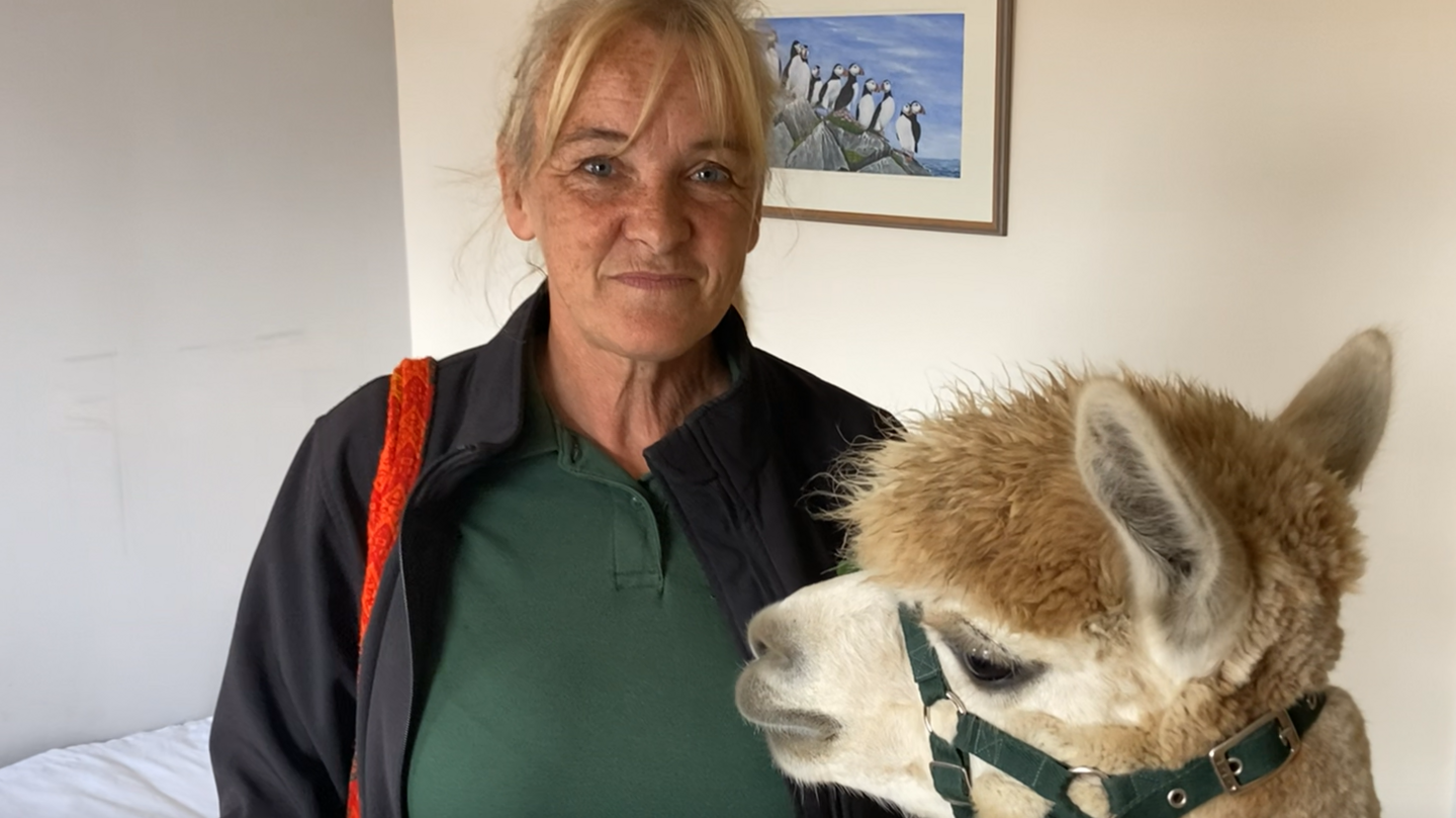 Jo Bridge pictured in the care home with one of her alpacas