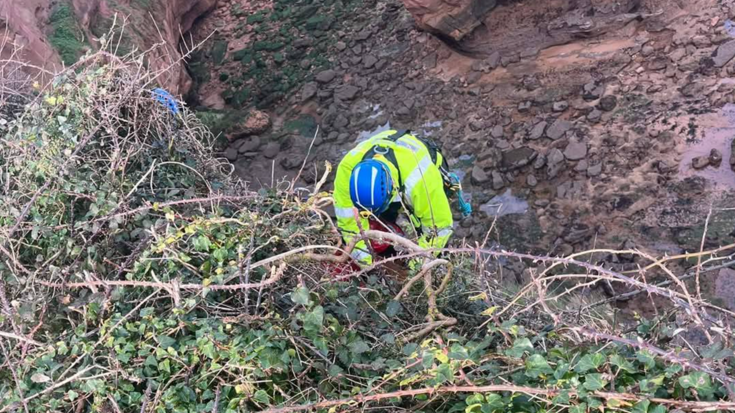 A man in a high vis jacket and blue helmet is seen from above making his way down a cliff. Above him is brambled bushes and below a rocky beach. 