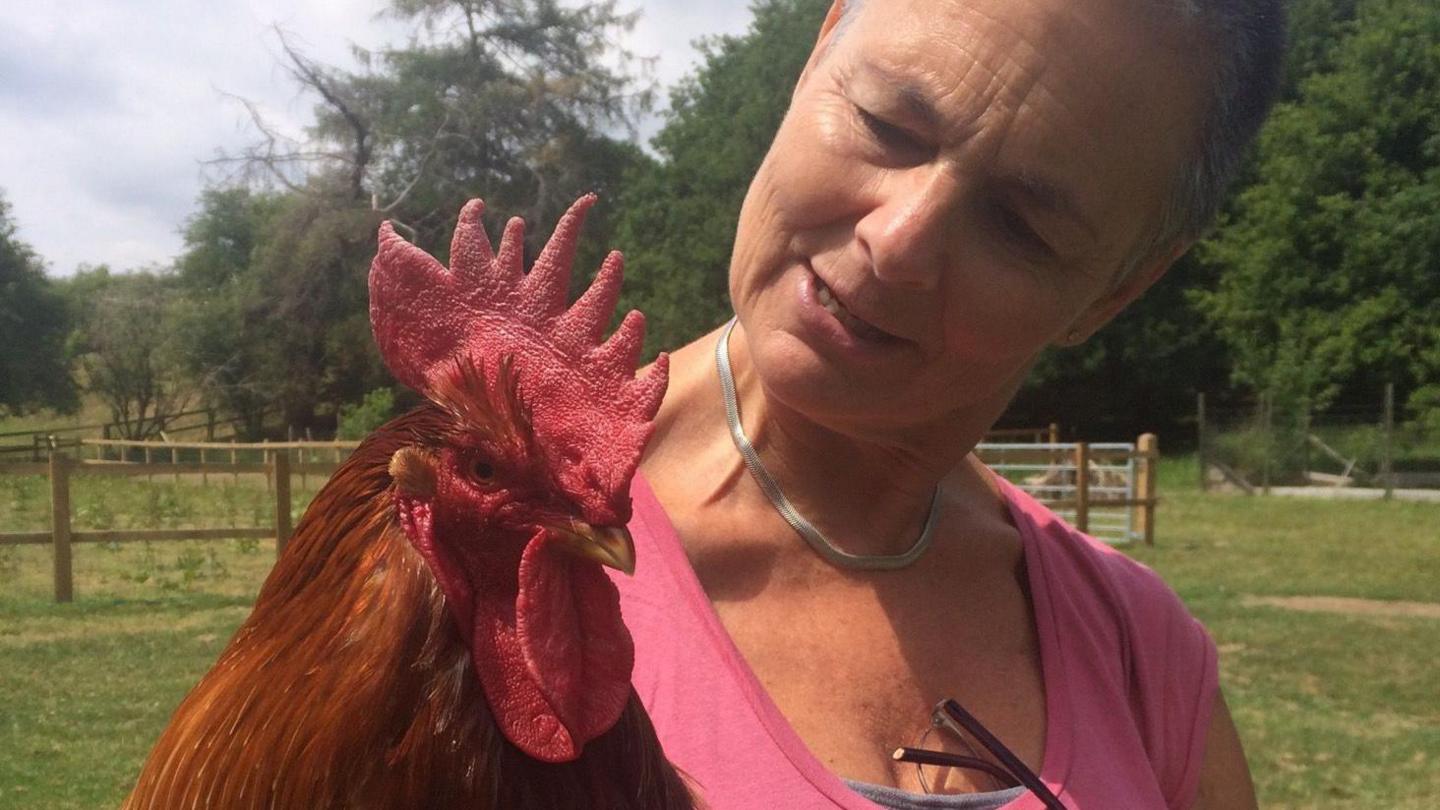 A woman in a pink t-shirt holding an auburn-coloured cockerel.