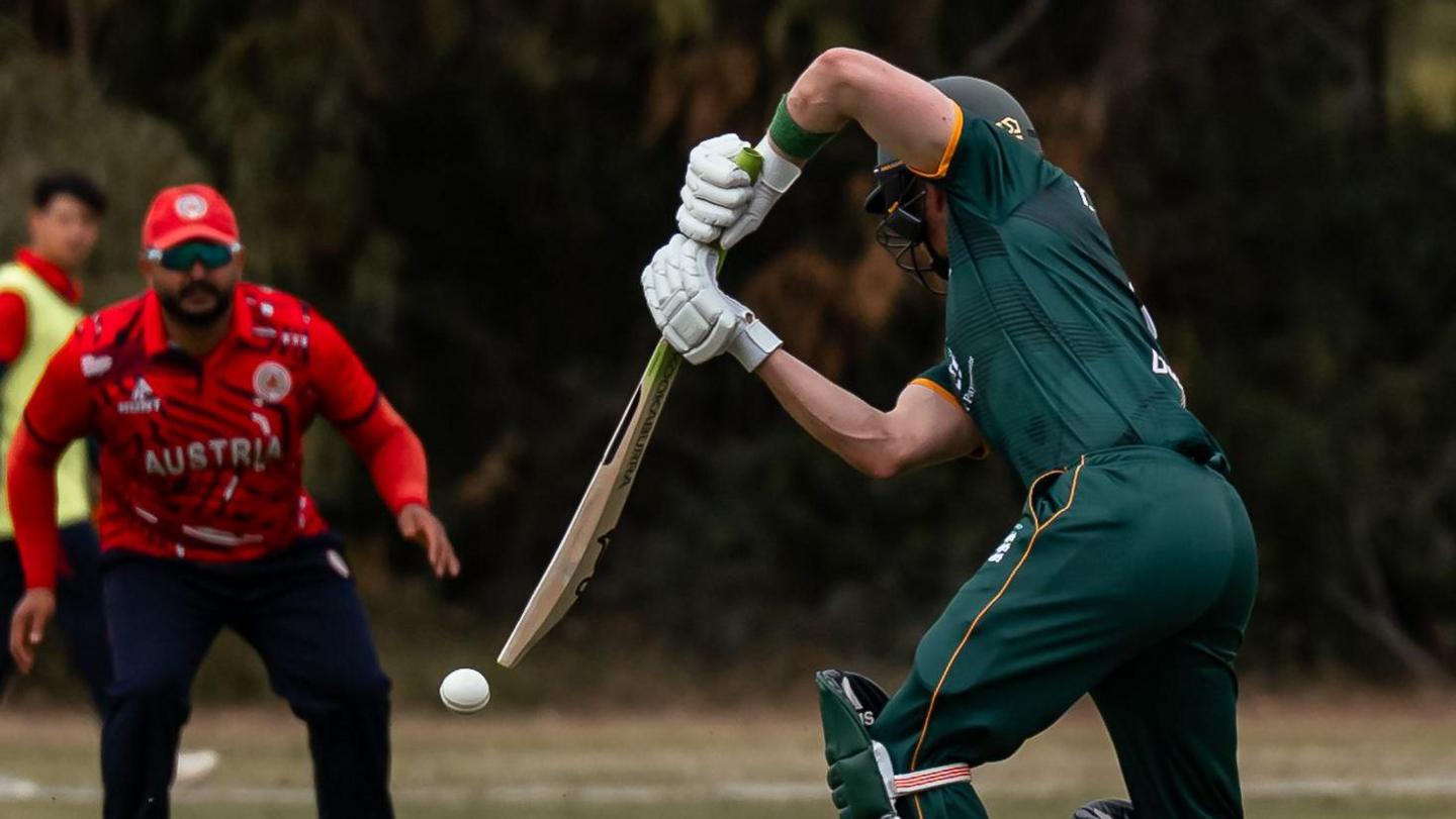 Guernsey batter