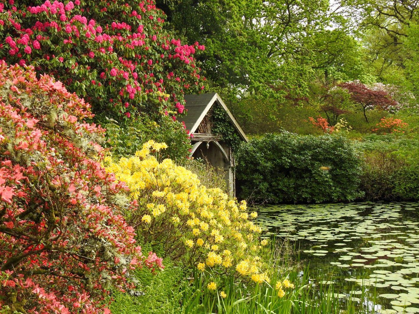 Colourful tree's and bushes growing around a pond