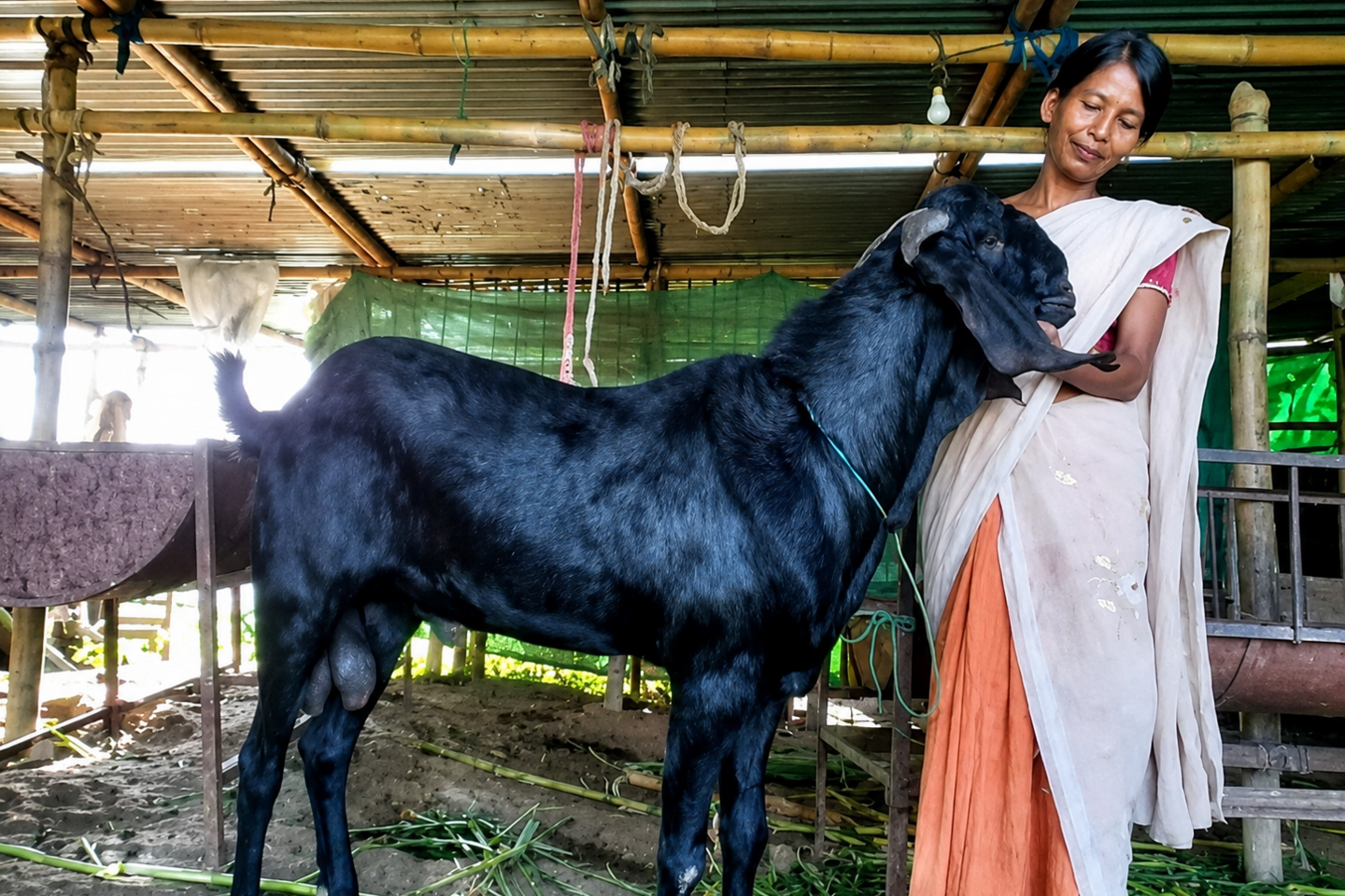 Bornali Baruah with a goat