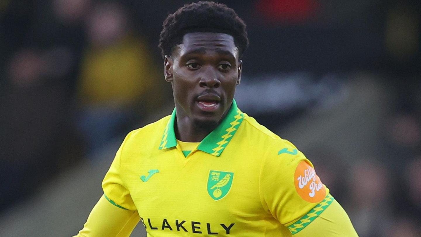 Norwich striker Mohamed Toure in action against West Brom in the FA Cup fourth round