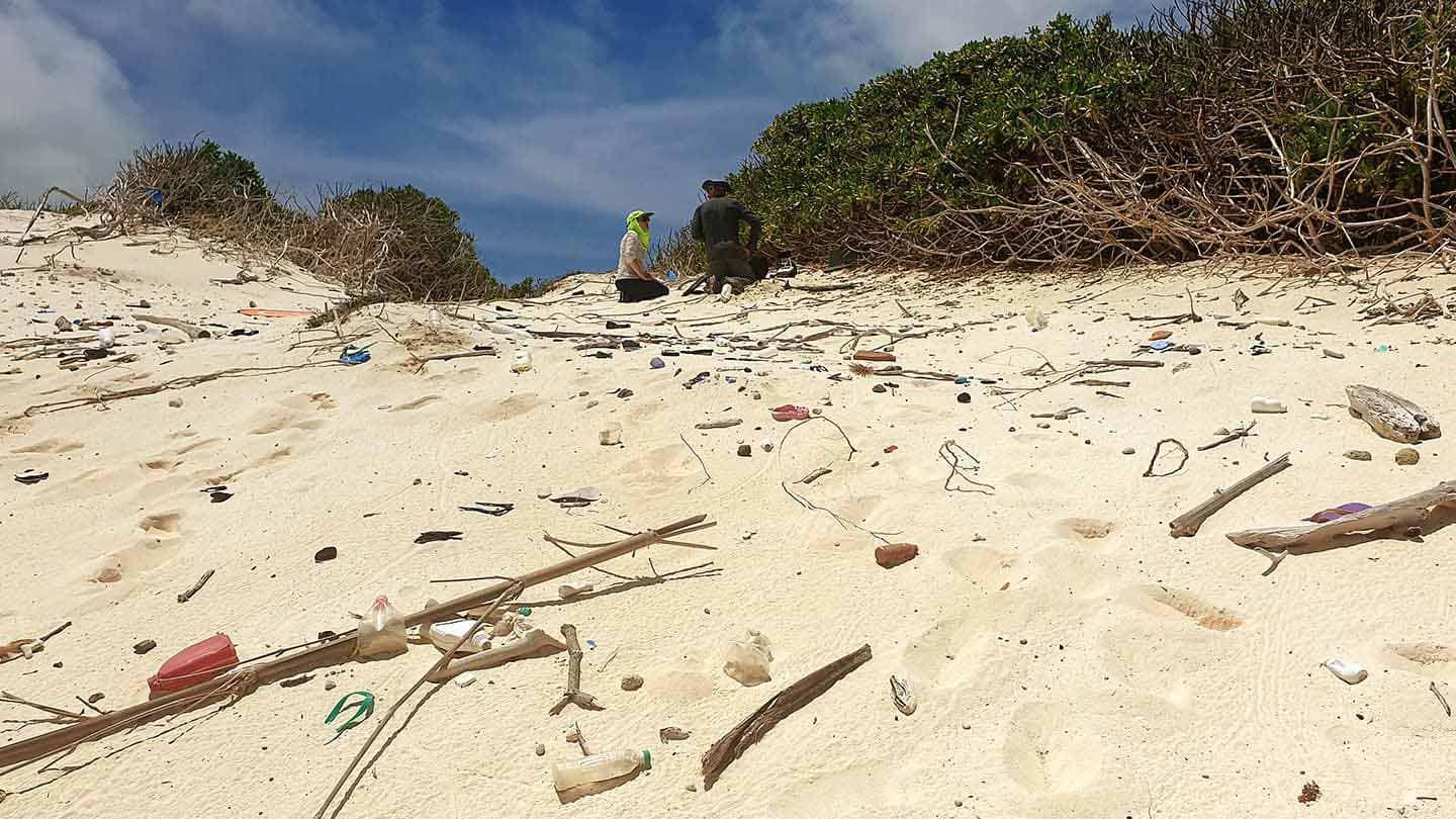 Scientists on a beach in Australia. You can see bits of plastic on the sand in the foreground