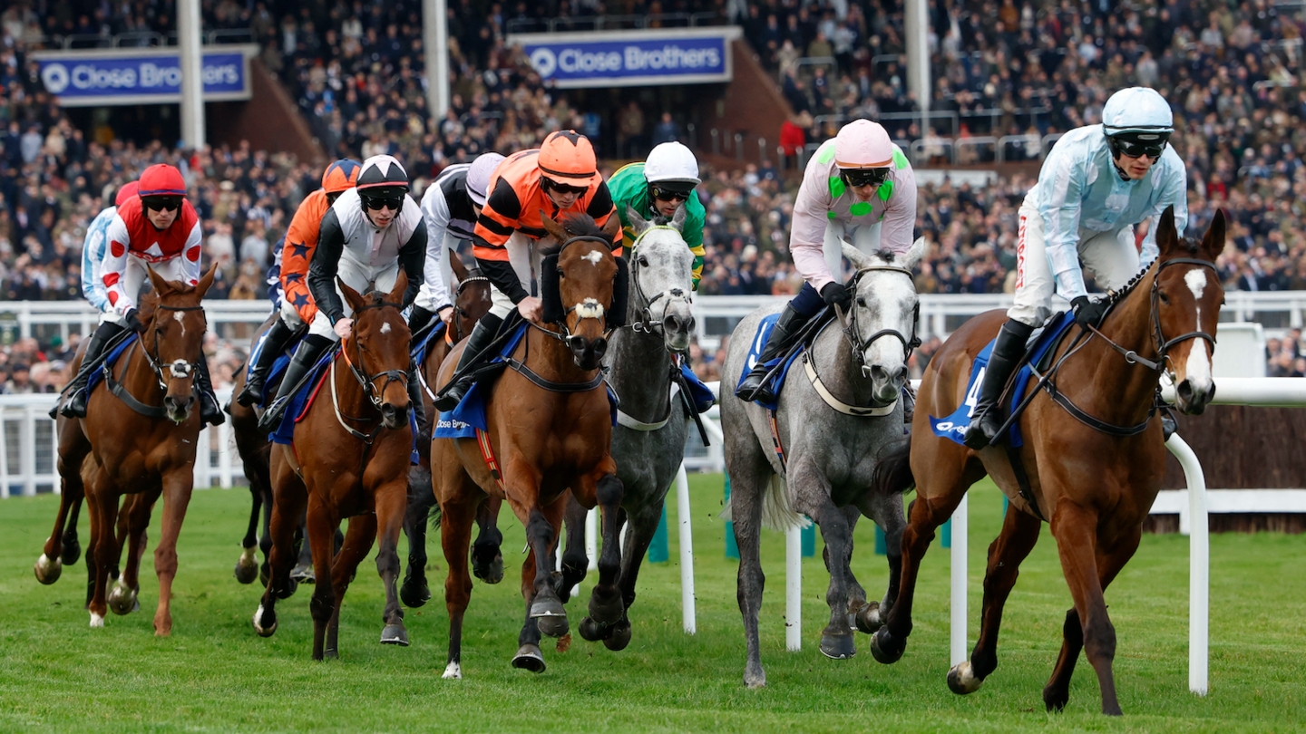 Eight horses, majority dark brown are seated by eight jockeys wearing brightly coloured silks and helmets. There are two greys in the centre of the pack. In the background there are grandstands full of people spectating.