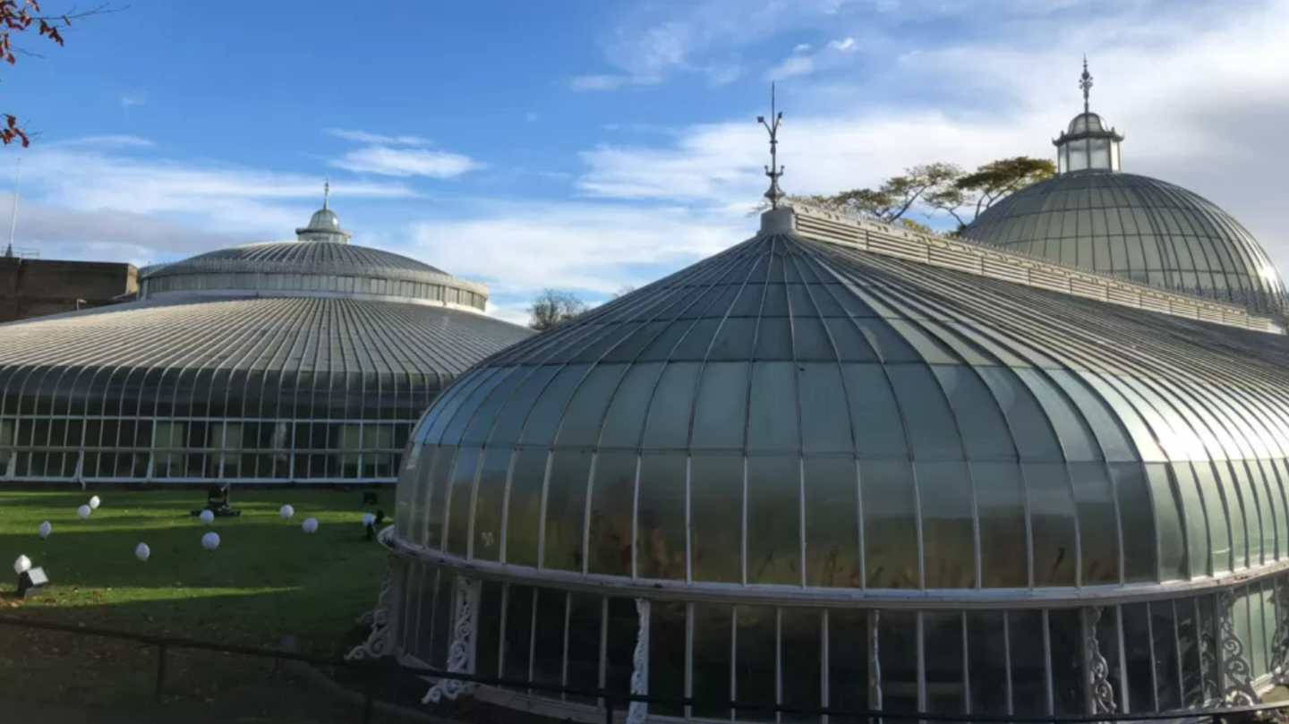 Glasshouse at Glasgow Botanics