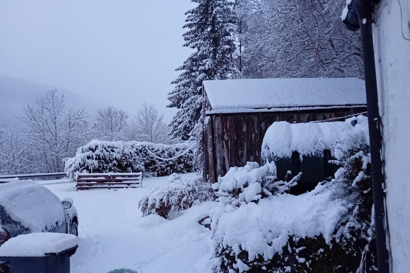 Thick snow covers a garden, a shed and trees. 