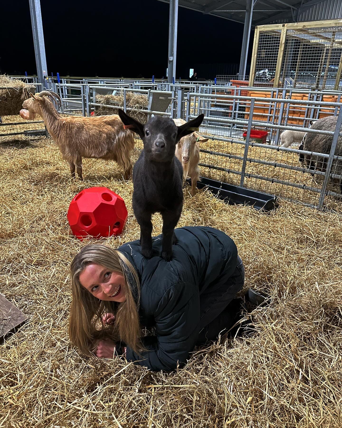 Woman kneeling on all fours with a black goat standing on her back