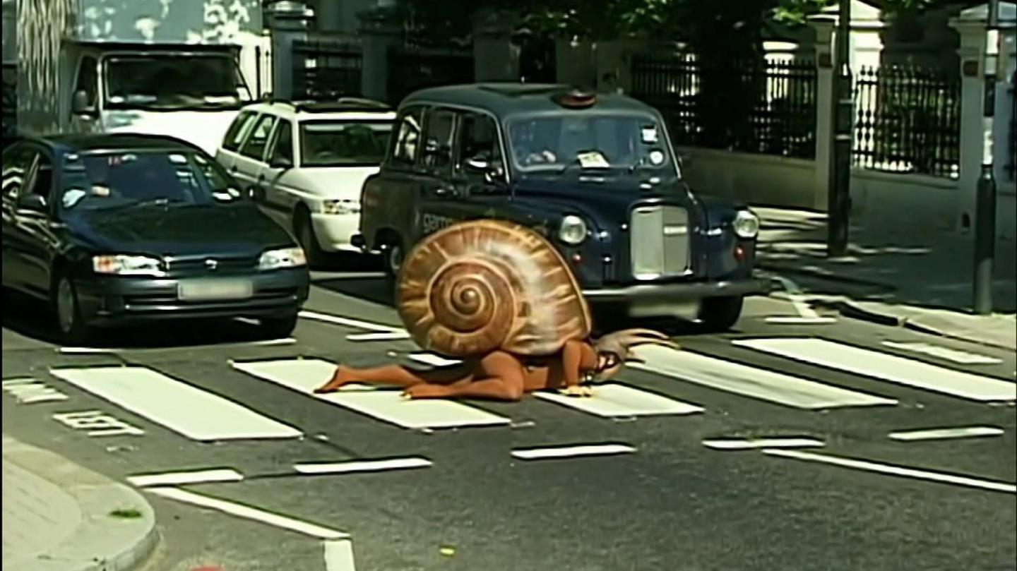 A man is dressed up as a large snail, and crawling prone on a zebra crossing. He is travelling across the road, halting traffic as drivers sit and watch.