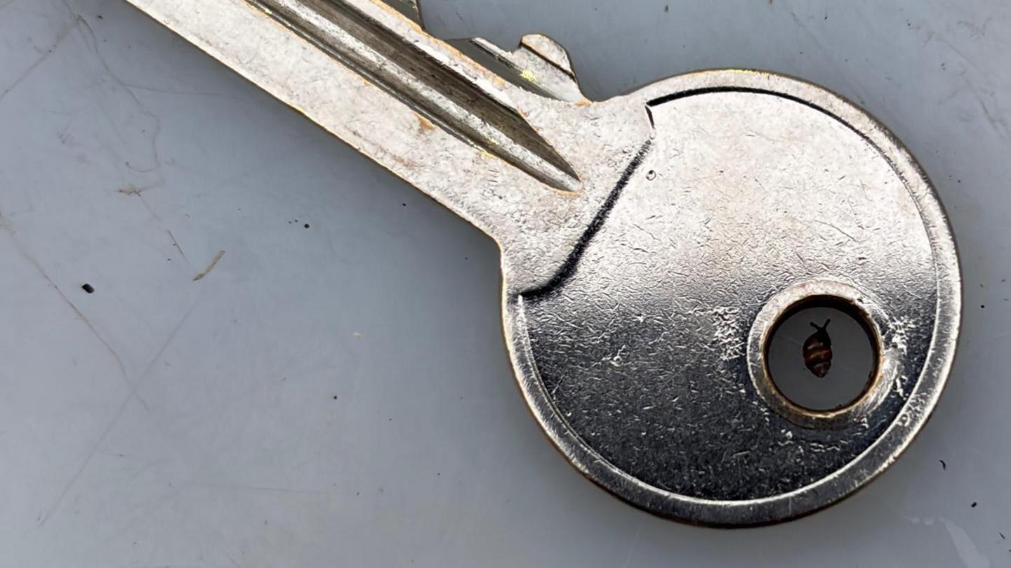 A silver key sits on a piece of plastic - in the hole at the top of the key, where a ring would fit through, is a tiny snail with a coned shell. It sits in the middle of the hole and only take sup a small part of it.