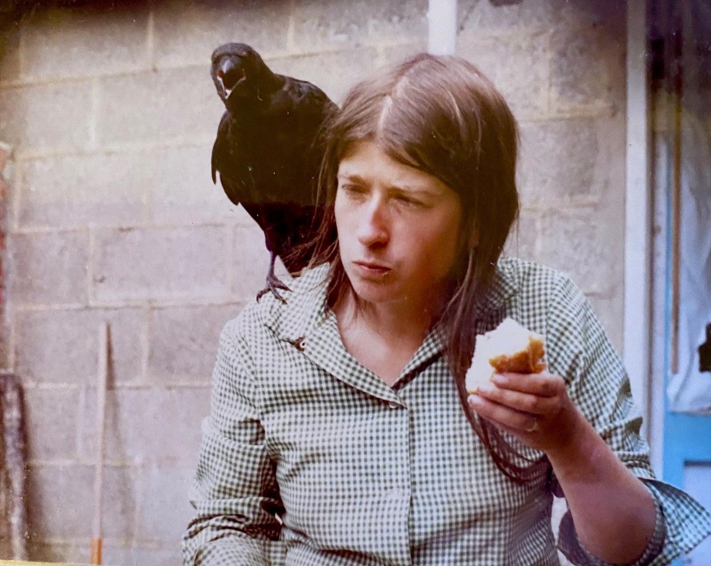 Ginny eating what looks like a chunk of bread with Herbie the crow on her shoulder. She is wearing a green and white gingham shirt with a brick wall in the background. 